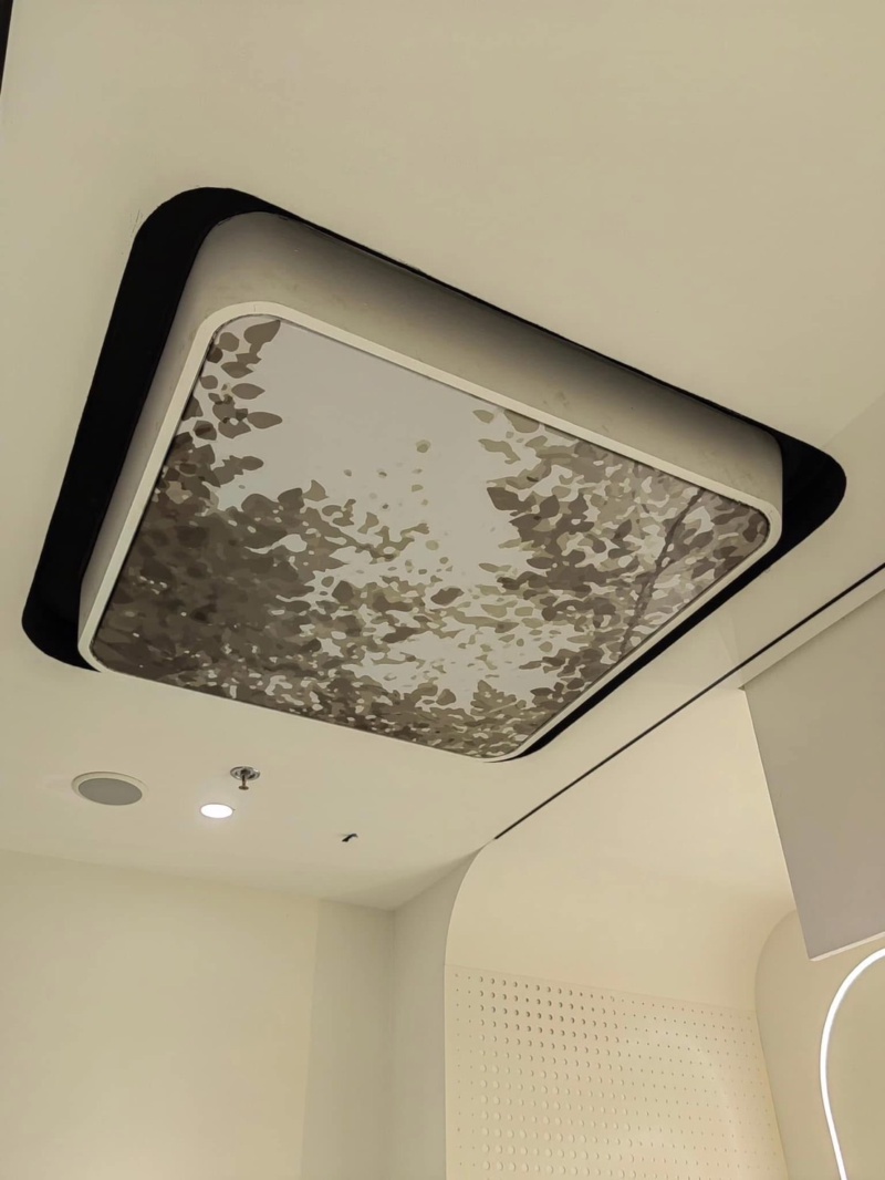 งานปริ้น AIS Future Park #3